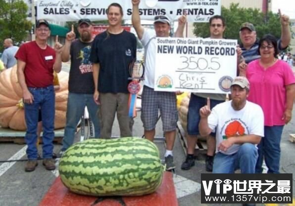 世界上最大的西瓜，重达158公斤，很大但不甜（图2）