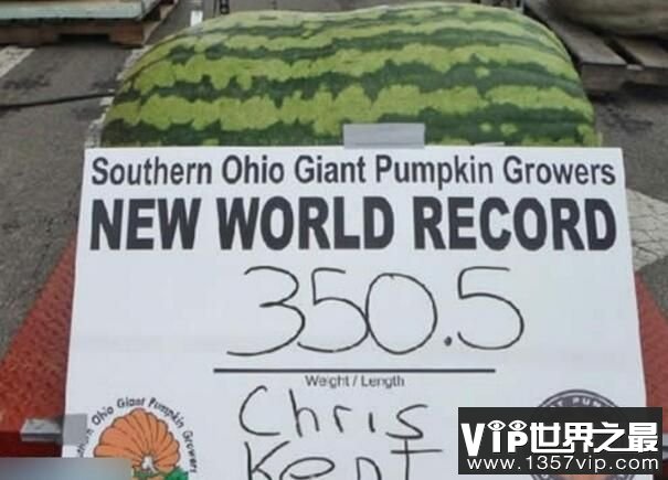 世界上最大的西瓜，重达158公斤，很大但不甜（图4）