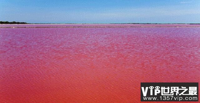 世界上水温最高的海：红海，最高水温60℃