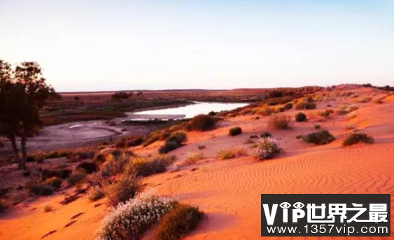世界上最红的沙漠：辛普森沙漠，红色的沙漠(红如火焰)