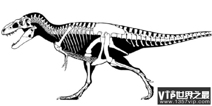 虐龙：北美大型暴龙超科类恐龙，体型是亚洲象的二倍