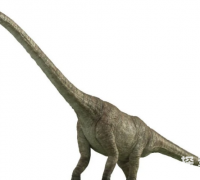 釜庆龙：体长20米的巨型蜥脚龙，韩国发现的少数恐龙之一