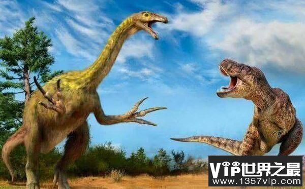 慢龙：亚洲大型食草恐龙（长9米/距今8850万年）