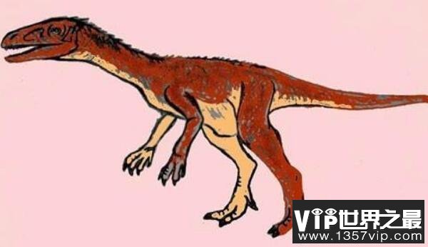 （Panphagia）：中三叠世小型杂食恐龙，化石仅部分骨骼
