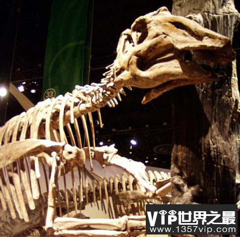 原栉龙：北美大型植食性恐龙(体长8米/有数百颗牙齿)