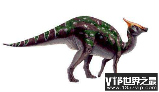 原栉龙：北美大型植食性恐龙(体长8米/有数百颗牙齿)