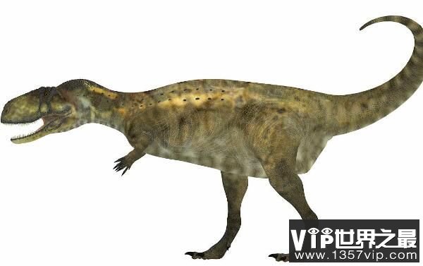 阿贝力龙：前肢短小的大型食草恐龙（体长7.9米/白垩纪晚期）