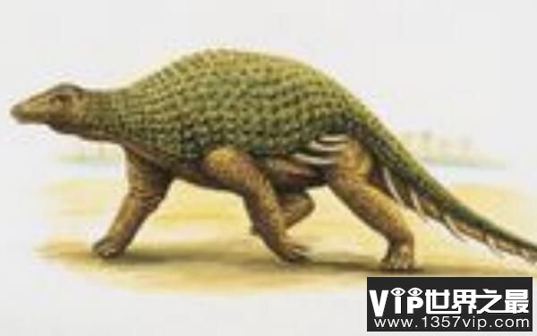 ：北美洲小型食草恐龙，体长4米（性情温和）