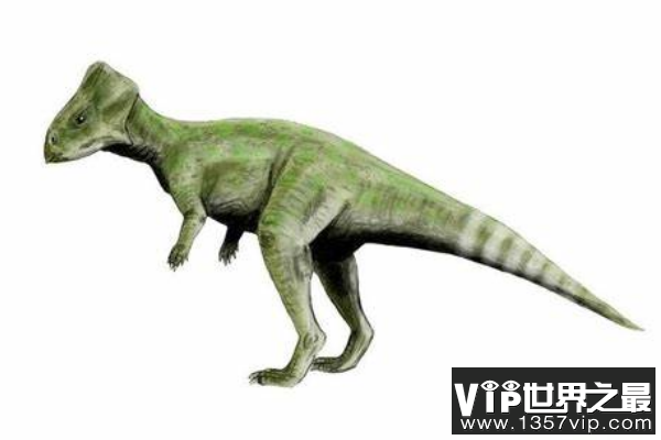 喇嘛角龙(Lamaceratops)：长着三角头盾的小型植食恐龙