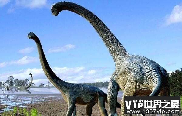：大洋洲巨型恐龙（长15米/体重18吨）