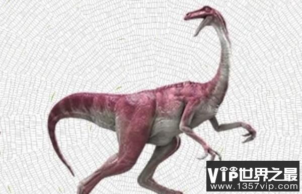 快达龙：一种小型食草恐龙（长1.8米/澳大利亚出土）