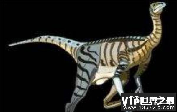 体长3米的似提姆龙：大洋洲小型食肉恐龙（出土于澳洲恐龙湾）