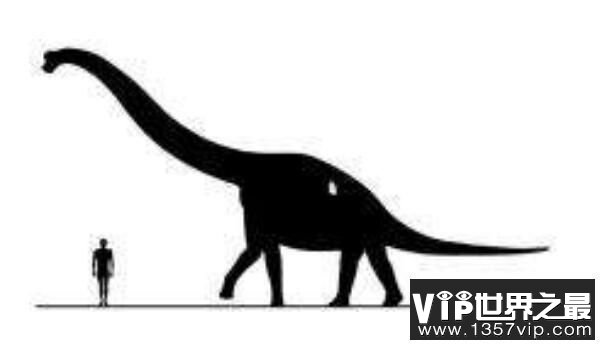 春雷龙：北美洲大型食草恐龙（长15米/蜥脚类恐龙）
