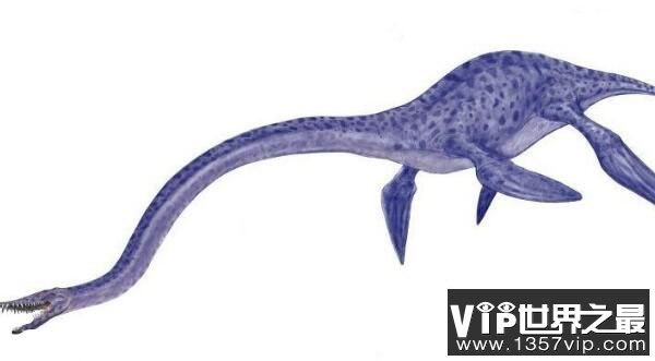 蛇颈龙：体长6米的食草恐龙，侏罗纪海洋中的霸王