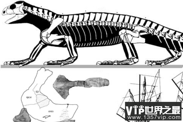 棘鳄龙：有棘的鳄鱼，已灭绝的远古爬行动物