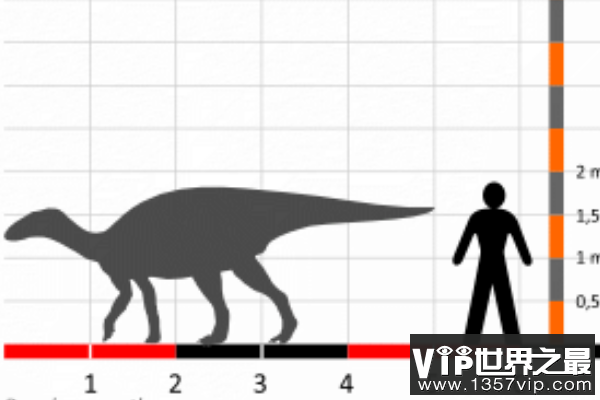 鸭颌龙：小型鸭嘴龙类超科恐龙(体长4米/化石仅右侧齿骨)