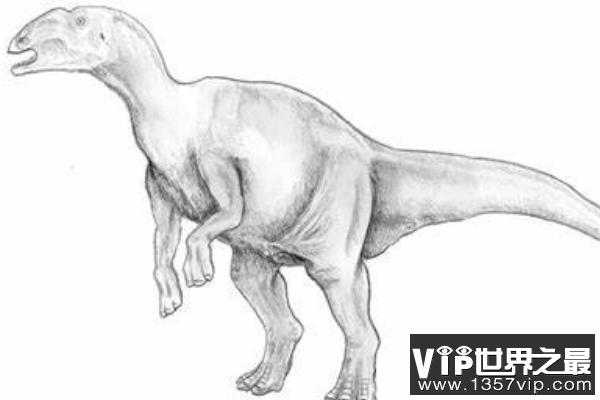 鸭颌龙：小型鸭嘴龙类超科恐龙(体长4米/化石仅右侧齿骨)