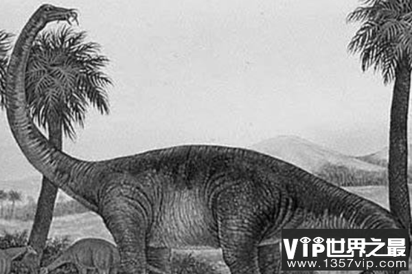 非凡龙：5层楼高的泰坦巨龙类恐龙，体长23米的巨型恐龙