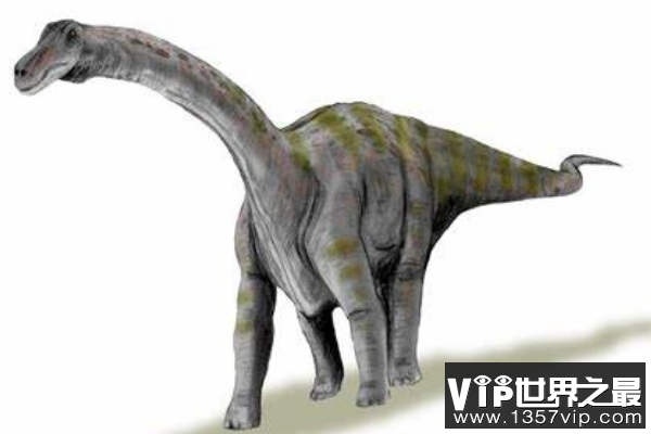 非凡龙：5层楼高的泰坦巨龙类恐龙，体长23米的巨型恐龙