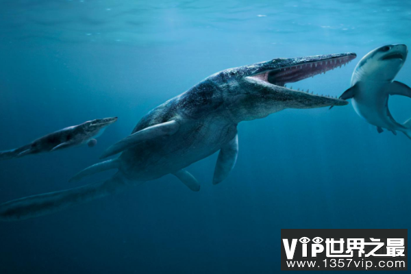 海王龙：白垩纪海洋中的顶级掠食者，体长17米的深海杀手