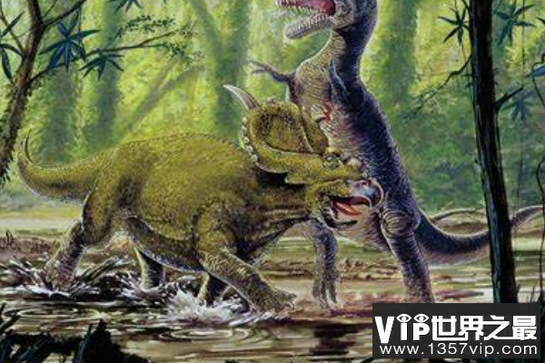 厚鼻龙：性情温顺的尖角龙亚科恐龙（体长7米/喜欢群居）