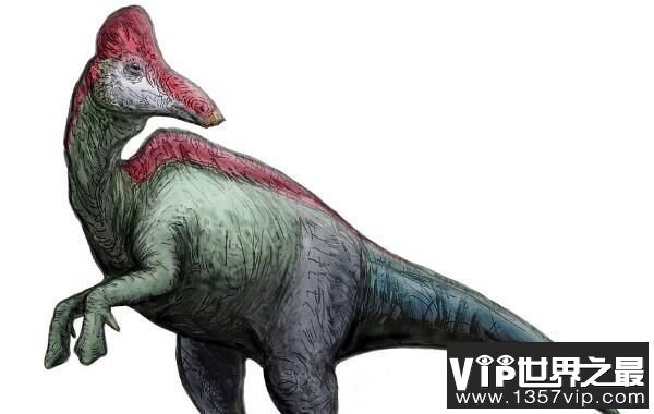 ：亚洲大型食草恐龙（体长10米/晚白垩世恐龙）