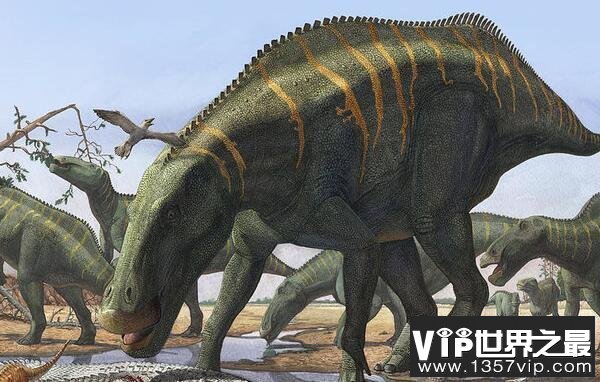 山东龙：中国大型食草恐龙（长15米/晚白垩世食草恐龙）