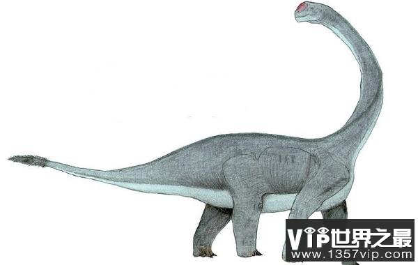 文雅龙：大型四足植食性恐龙（体长9米/头呈方形）