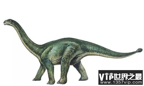 ：四川大型食草恐龙（长11米/性情温和）