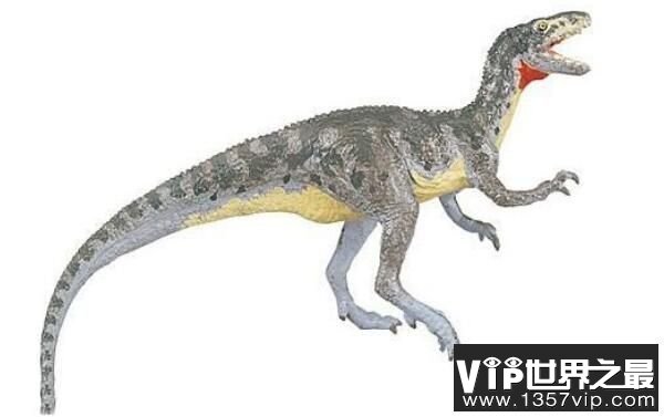 ：四川发现的小型食肉恐龙（化石仅剩牙齿部分）