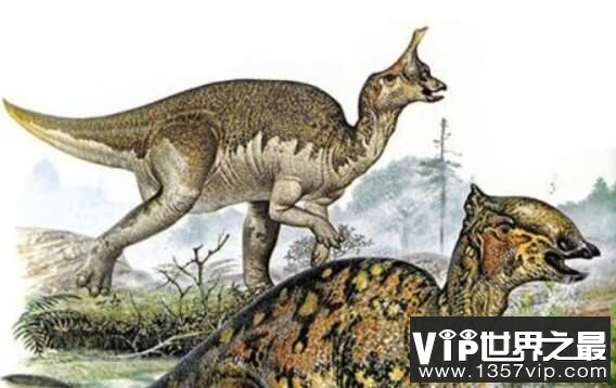 青岛龙：有顶饰的鸭嘴龙类恐龙(长10米/距今7000万年前)