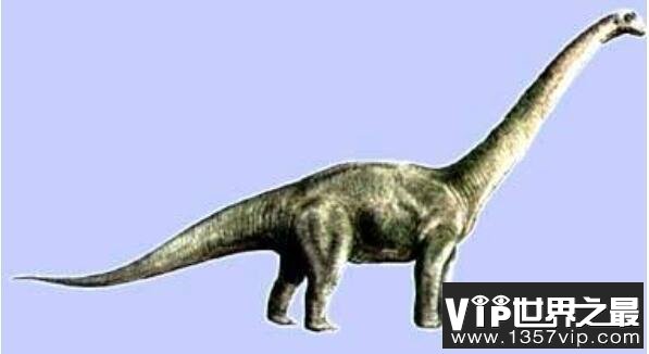 盘足龙：足如圆盘的巨型植食恐龙(长10米/距今1.5亿年前)