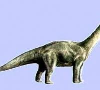 盘足龙：足如圆盘的巨型植食恐龙(长10米/距今1.5亿年前)