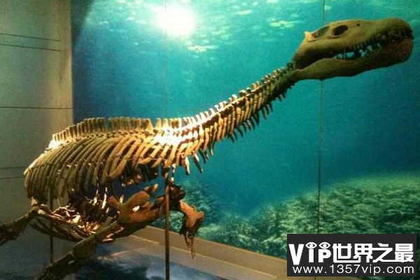 (Daanosaurus)：四川发现的食草蜥脚恐龙