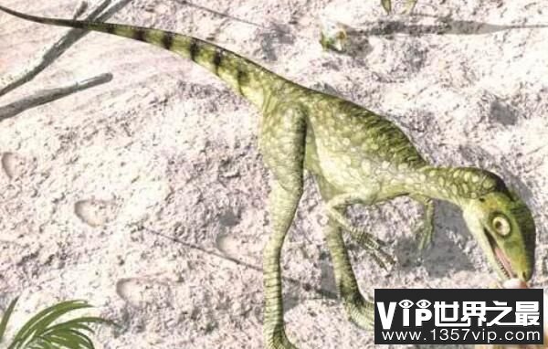棒爪龙：意大利小型食肉恐龙，体长达2米(白垩纪恐龙)