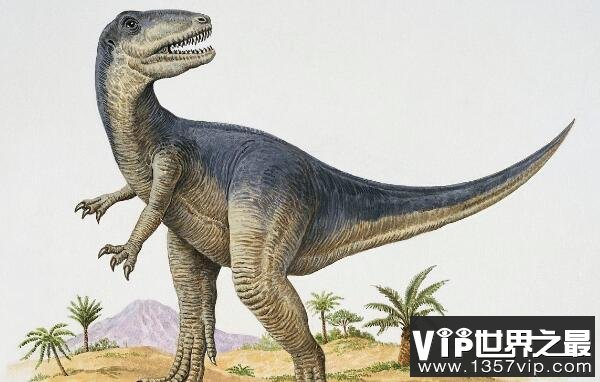 皮亚尼兹基龙：阿根廷中型二足恐龙（长4.3米/中侏罗世恐龙）