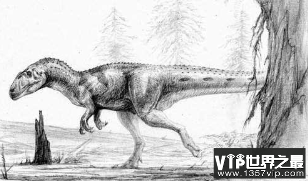 皮亚尼兹基龙：阿根廷中型二足恐龙（长4.3米/中侏罗世恐龙）