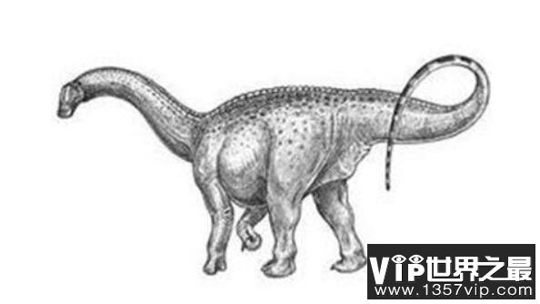 丘布特龙(Chubutisaurus)：体长23米的阿根廷超巨型恐龙
