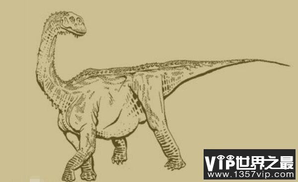 巴塔哥尼亚龙(Patagosaurus)：体长20米的阿根廷超巨型恐龙