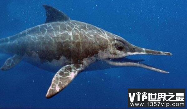 大眼鱼龙(Ophthalmosaurus)：长相酷似海豚，眼睛超级大