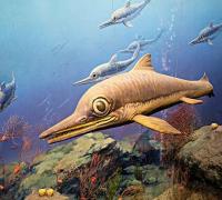 大眼鱼龙(Ophthalmosaurus)：长相酷似海豚，眼睛超级大