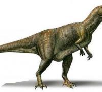 气腔龙(Aerosteon)：长9米的阿根廷大型食肉恐龙