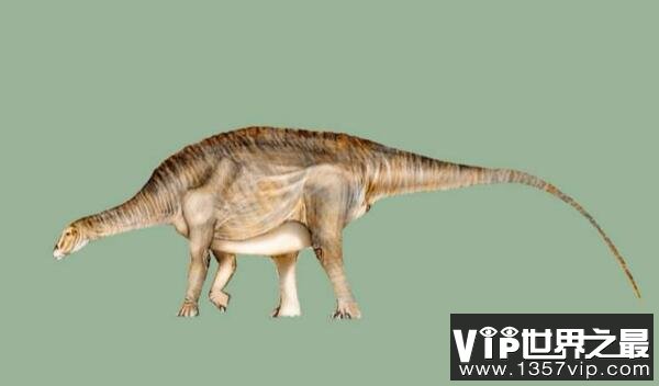 内乌肯龙(Neuquensaurus)：长15米的阿根廷大型食草恐龙