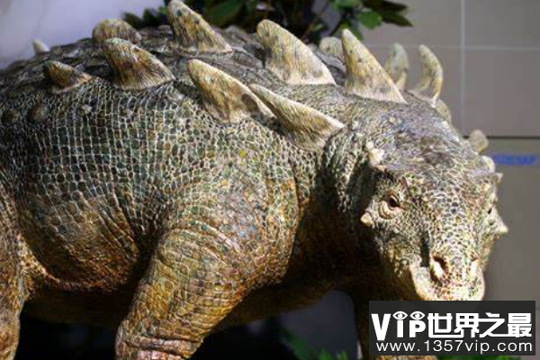 匈牙利龙(Hungarosaurus)：个头不高，长有五对尖刺的恐龙