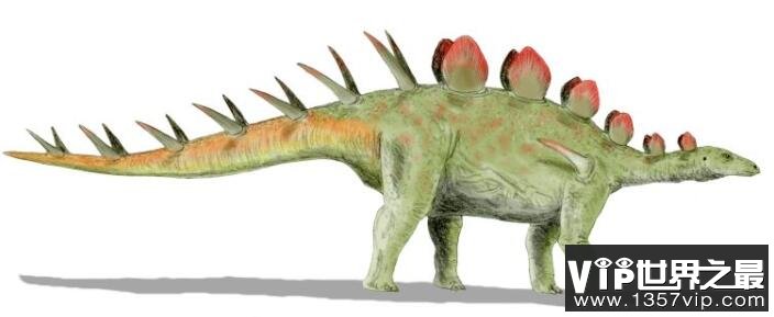 嘉陵龙：像钉状龙的剑龙科恐龙，最早的剑龙科之一