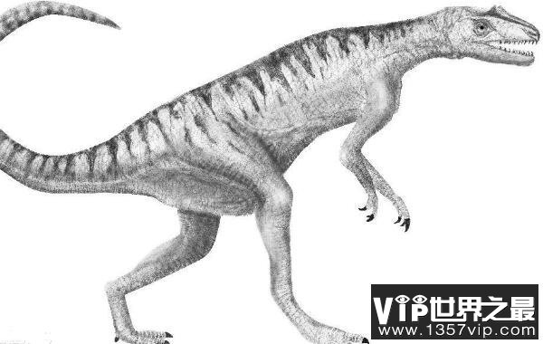 巴塔哥尼亚爪龙(Patagonykus)：体长2米的阿根廷小型恐龙
