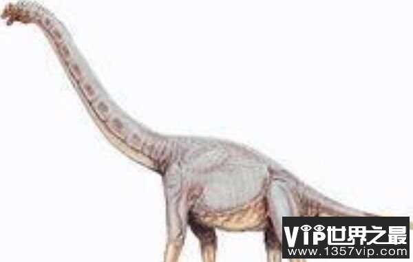 索诺拉龙：北美洲巨型恐龙（长17米/以沙漠命名的恐龙）