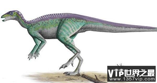 帕克氏龙(Parksosaurus)：体长仅2米的小型食草恐龙