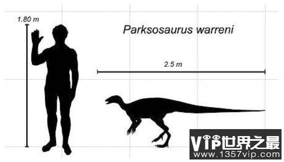 帕克氏龙(Parksosaurus)：体长仅2米的小型食草恐龙