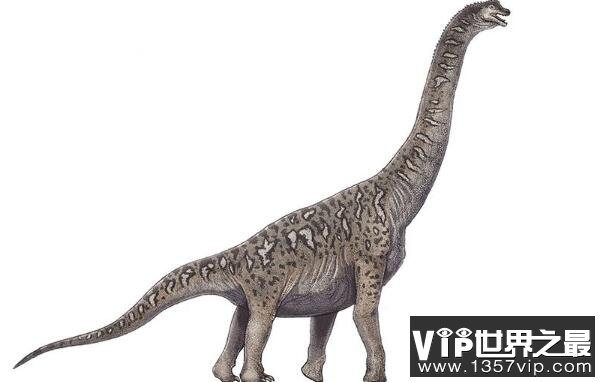 青秀龙(Qingxiusaurus)：体长15米的中国巨型食草恐龙